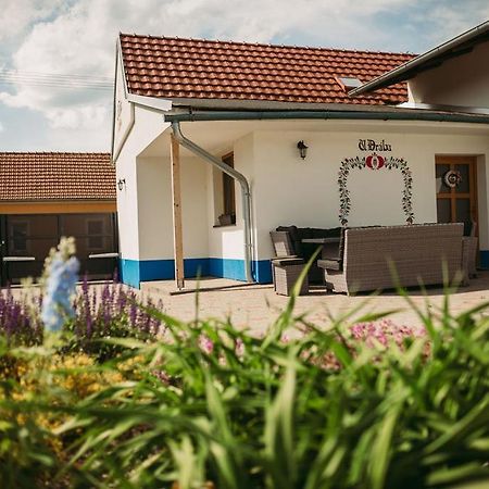 Apartman U Draba: Ubytovani Na Slovacku V Miloticich U Kyjova Milotice Bagian luar foto