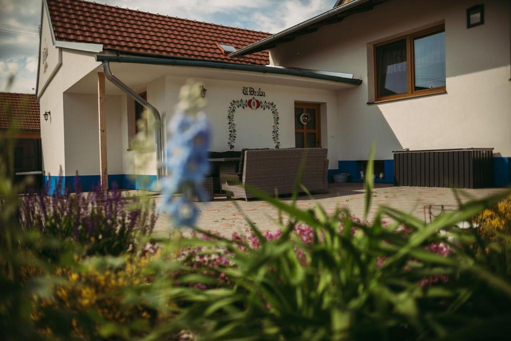 Apartman U Draba: Ubytovani Na Slovacku V Miloticich U Kyjova Milotice Bagian luar foto